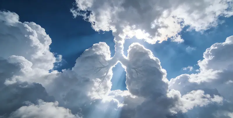 红河肺癌172基因检测图片1