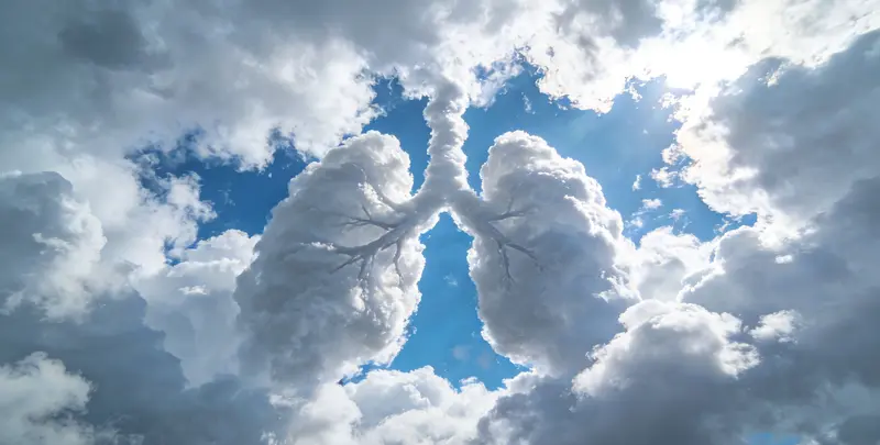 肺癌172基因检测图4