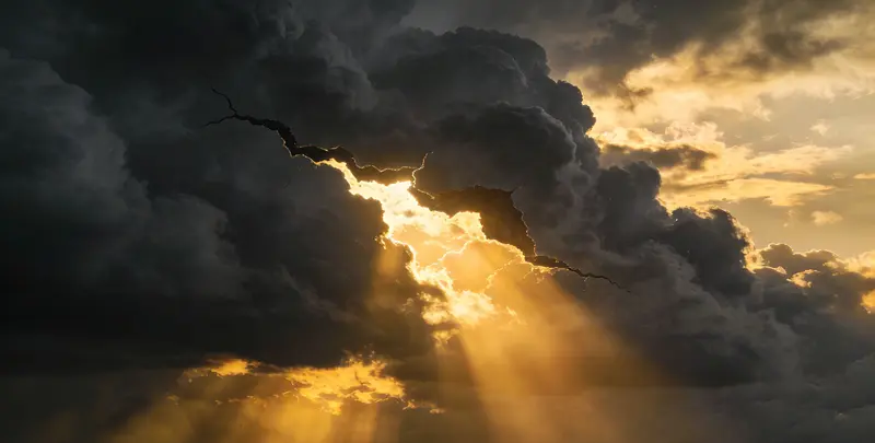 红河肺癌11基因检测组织版图片1