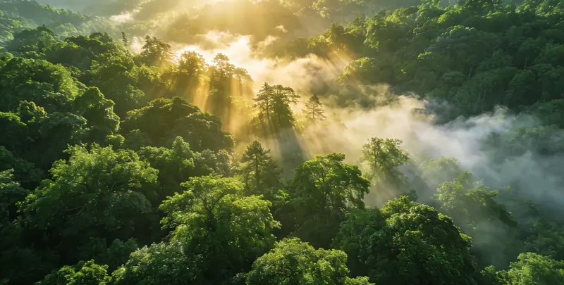 红河肺癌8基因突变检测（组织）图片1