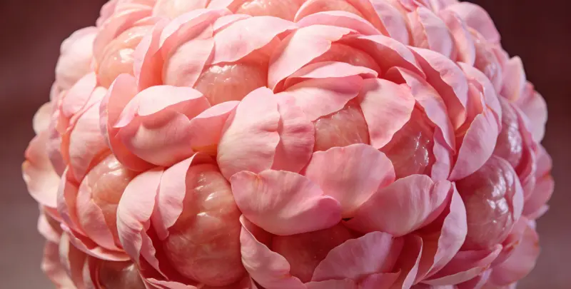 红河BRCA1/2乳腺癌卵巢癌基因检测图片1