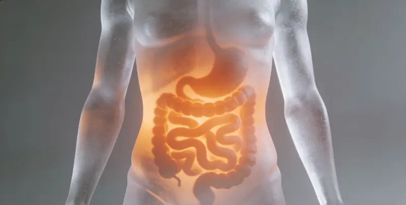 红河肠癌甲基化检测图片1